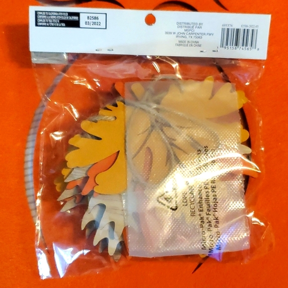 Fall decor items - Picture 7 of 8